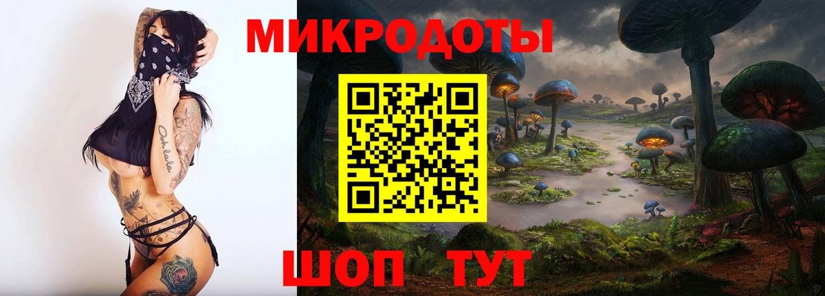 Александров  Псилоцибиновые грибы ЛСД  Вход с VPN 