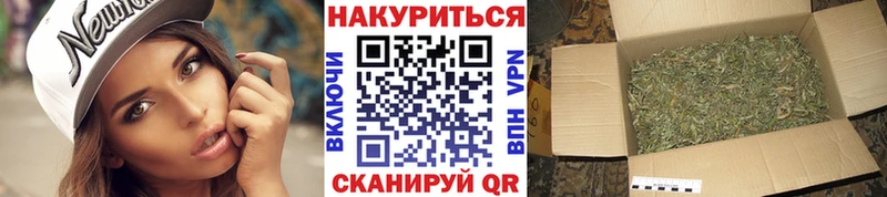 Бошки марихуана гибрид  даркнет как зайти  Александров 