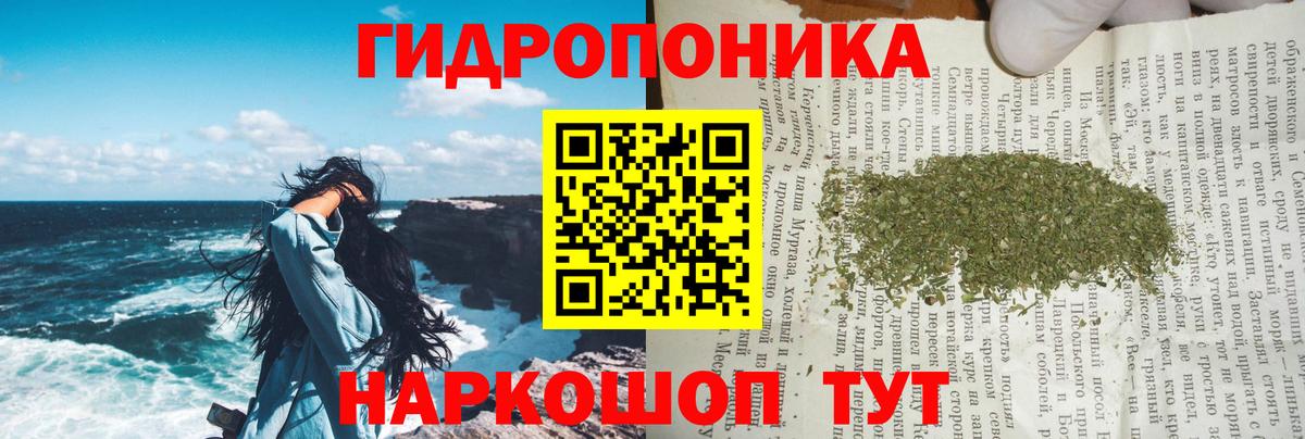 Александров  Бошки Шишки White Widow  Вход с VPN  Бошки марихуана сатива 